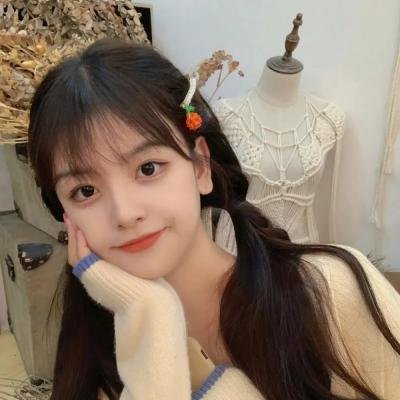 小查与寇弟的顶级冒险